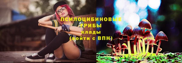 СК Верея